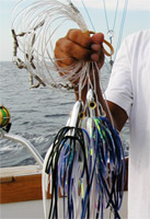 Iland Lures Africa, Monofilament, Reels, Teaser, Artificial bait, Penn  Fishing reels